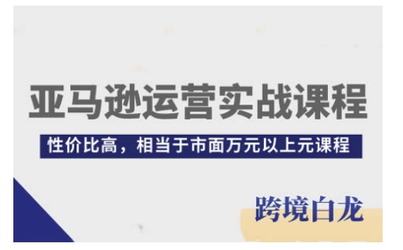 亚马逊运营实战课程，亚马逊从入门到精通，性价比高，相当于市面万元以上元课程-金易项目网