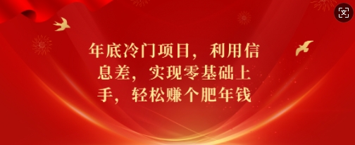 年底冷门项目，利用信息差，实现零基础上手，轻松赚个肥年钱【揭秘】-金易项目网