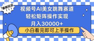 视频号蓝海赛道玩法，当天起号，拉爆流量收益，小白也能轻松月入30000+-金易项目网
