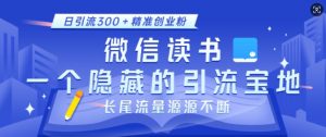 微信读书，一个隐藏的引流宝地，不为人知的小众打法，日引流300+精准创业粉，长尾流量源源不断-金易项目网