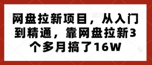 网盘拉新项目，从入门到精通，靠网盘拉新3个多月搞了16W-金易项目网