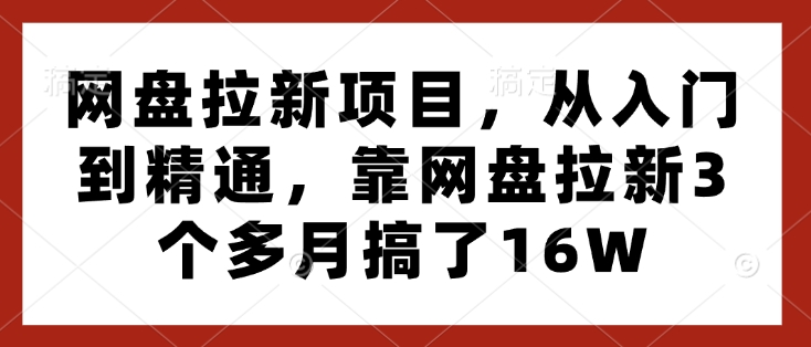 网盘拉新项目，从入门到精通，靠网盘拉新3个多月搞了16W-金易项目网