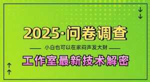 2025问卷调查最新工作室技术解密：一个人在家也可以闷声发大财，小白一天2张，可矩阵放大【揭秘】-金易项目网