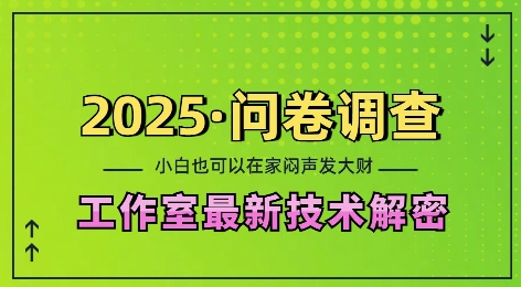2025问卷调查最新工作室技术解密：一个人在家也可以闷声发大财，小白一天2张，可矩阵放大【揭秘】-金易项目网