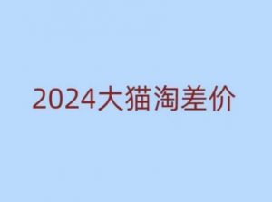 2024版大猫淘差价课程，新手也能学的无货源电商课程-金易项目网