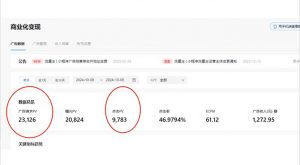 抖音雪花无人直播，一天躺赚3000+，0粉手机可搭建，不违规不限流，小白...-金易项目网