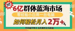 6亿群体蓝海市场，零经验小白用一台电脑，如何轻松月入过w【揭秘】-金易项目网