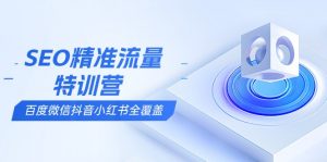 SEO精准流量特训营，百度微信抖音小红书全覆盖，带你搞懂搜索优化核心技巧-金易项目网