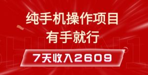 纯手机操作的小项目，有手就能做，7天收入2609+实操教程【揭秘】-金易项目网