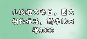 小说推文项目，图文创作玩法，新手10天挣3000-金易项目网