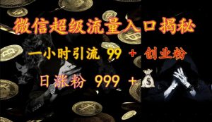 微信超级流量入口揭秘：一小时引流 99 + 创业粉，日涨粉 999 +-金易项目网