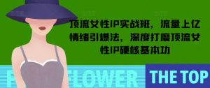 顶流女性IP实战班，流量上亿情绪引爆法，深度打磨顶流女性IP硬核基本功-金易项目网