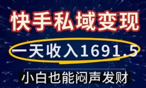 一天收入1691.5，快手私域变现，小白也能闷声发财-金易项目网