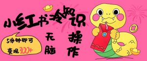 小红书冷知识账号，无脑复制粘贴，5分钟即可变现3张-金易项目网