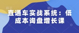 直通车实战系统：低成本询盘增长课，让个人通过技能实现升职加薪，让企业低成本获客，订单源源不断-金易项目网