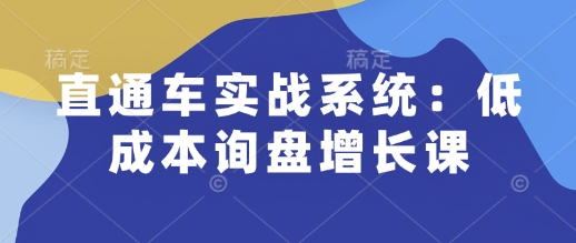 直通车实战系统：低成本询盘增长课，让个人通过技能实现升职加薪，让企业低成本获客，订单源源不断-金易项目网