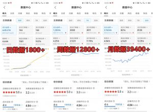 拼多多虚拟店铺项目，电脑挂机自动发货，单店日利润300+-金易项目网