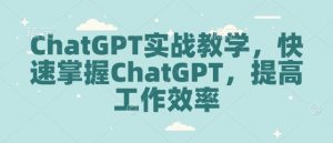 ChatGPT实战教学，快速掌握ChatGPT，提高工作效率-金易项目网