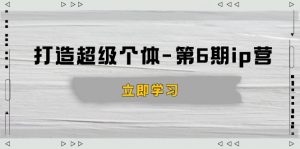打造 超级个体-第6期ip营：商业认知,产品设计,成交演练,解决知识变现难题-金易项目网