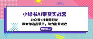 小绿书AI带货实战营：公众号+视频号联动，教会你选品带货，助力副业增收-金易项目网