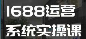 1688高阶运营系统实操课，快速掌握1688店铺运营的核心玩法-金易项目网