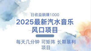2025最新汽水音乐躺赚项目 每天几分钟 日入1000＋-金易项目网