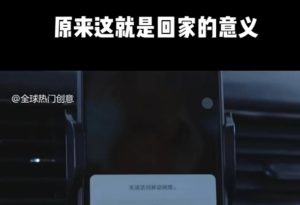 利用春节风口，制作热点视频，多种玩法类型，新手也能轻松变现！-金易项目网