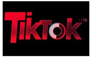 TikTok ads投流秘籍，涵盖tiktok整体投放思路，教你搭建测试计划-金易项目网