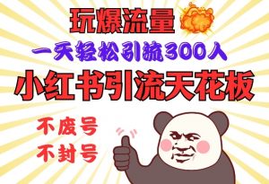 小红书引流天花板，玩爆流量，一天轻松引流300人，安全操作-金易项目网