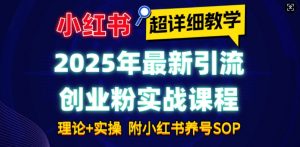 2025年最新小红书引流创业粉实战课程【超详细教学】小白轻松上手，月入1W+，附小红书养号SOP-金易项目网