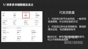 纪主任·拼多多年费会员(更新2025年1月)-金易项目网