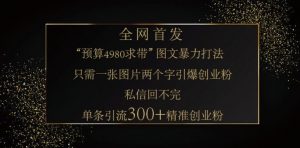 小红书神奇图片引流法，只需一张图，就能单条笔记凭借此方法，轻松引流 300 + 精准创业粉-金易项目网