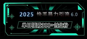 2025年快手6.0保姆级教程震撼来袭，单日狂吸300+精准创业粉-金易项目网