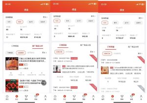 2025最新京东蓝海项目，0 门槛日入 1k+，小白宝妈轻松上手【揭秘】-金易项目网