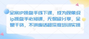 全案IP操盘手线下课，成为现象级ip操盘手必修课，无保留分享，全是干货，不讲废话超深度培训实操-金易项目网