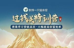 剽悍一只猫-过钱关特训营，学习营销真经 大幅度提高创富效率-金易项目网