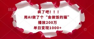 疯了吧！用AI做了个“会做饭的猫”，播放200万，单日变现1k-金易项目网