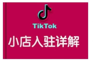 TikTok跨境小店运营全攻略，帮助你独立运营TK跨境小店的能力，实现销量增长-金易项目网