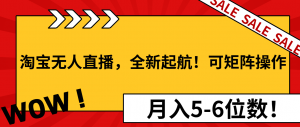 淘宝无人直播，全新起航！可矩阵操作，月入5-6位数！-金易项目网