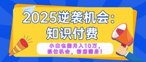 2025逆袭项目——知识付费，小白也能月入10万年入百万，抓住机会彻底翻...-金易项目网