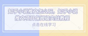 知乎小说推文怎么玩，知乎小说推文项目保姆级实战教程-金易项目网