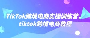 TikTok跨境电商实操训练营，tiktok跨境电商教程-金易项目网