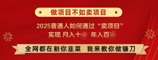 必看，做项目不如卖项目，2025普通人如何通过“卖项目”实现月入十个，年入百个-金易项目网