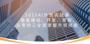 2025AI外贸实战课：涵盖建站、开发、营销, 从零到三全面掌握外贸技能-金易项目网