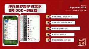 评论区野路子截流创业粉新方法，日被动加300+创业粉，精准引流被动添加...-金易项目网