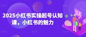 2025小红书实操起号认知课，小红书的魅力-金易项目网