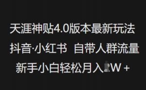 天涯神贴4.0版本最新玩法，抖音·小红书自带人群流量，新手小白轻松月入过W-金易项目网