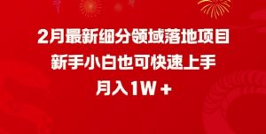 2月最新细分领域落地项目，新手小白也可快速上手，月入1W-金易项目网