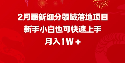 2月最新细分领域落地项目，新手小白也可快速上手，月入1W-金易项目网