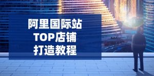 阿里国际站TOP店铺打造教程：涵盖平台到高阶，解决运营难题，提升询盘-金易项目网